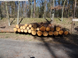 2014-03-20-pichelsberge-ampostfenn-132