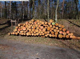 2014-03-20-pichelsberge-ampostfenn-133