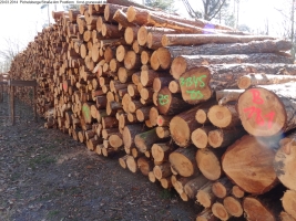 2014-03-20-pichelsberge-ampostfenn-134