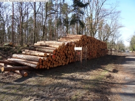 2014-03-20-pichelsberge-ampostfenn-135