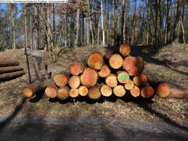 2014-03-20-pichelsberge-ampostfenn-136