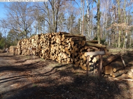 2014-03-20-pichelsberge-ampostfenn-138