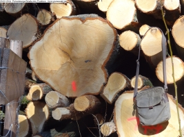 2014-03-20-pichelsberge-ampostfenn-140