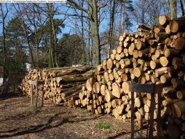 2014-03-20-pichelsberge-ampostfenn-141