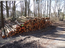 2014-03-20-pichelsberge-ampostfenn-142