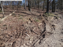 2014-03-20-pichelsberge-ampostfenn-001 2014-03-20-pichelsberge-ampostfenn-001