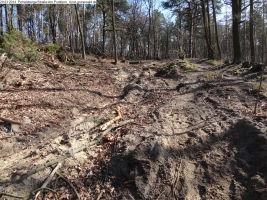 2014-03-20-pichelsberge-ampostfenn-002 2014-03-20-pichelsberge-ampostfenn-002