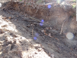 2014-03-20-pichelsberge-ampostfenn-003 2014-03-20-pichelsberge-ampostfenn-003