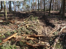 2014-03-20-pichelsberge-ampostfenn-006 2014-03-20-pichelsberge-ampostfenn-006