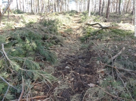 2014-03-20-pichelsberge-ampostfenn-008 2014-03-20-pichelsberge-ampostfenn-008