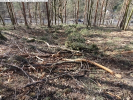 2014-03-20-pichelsberge-ampostfenn-009 2014-03-20-pichelsberge-ampostfenn-009