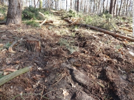 2014-03-20-pichelsberge-ampostfenn-011