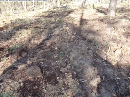 2014-03-20-pichelsberge-ampostfenn-016 2014-03-20-pichelsberge-ampostfenn-016