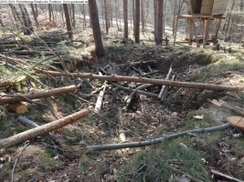 2014-03-20-pichelsberge-ampostfenn-017