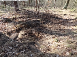 2014-03-20-pichelsberge-ampostfenn-019