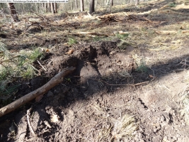 2014-03-20-pichelsberge-ampostfenn-022 2014-03-20-pichelsberge-ampostfenn-022