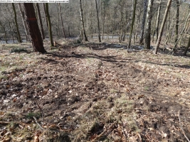 2014-03-20-pichelsberge-ampostfenn-031 2014-03-20-pichelsberge-ampostfenn-031