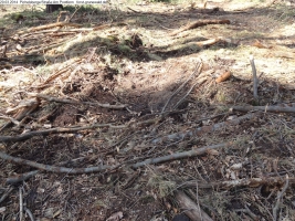 2014-03-20-pichelsberge-ampostfenn-038 2014-03-20-pichelsberge-ampostfenn-038