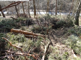 2014-03-20-pichelsberge-ampostfenn-044 2014-03-20-pichelsberge-ampostfenn-044