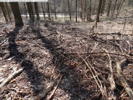 2014-03-20-pichelsberge-ampostfenn-049