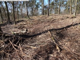 2014-03-20-pichelsberge-ampostfenn-050