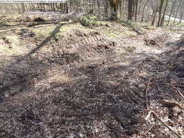 2014-03-20-pichelsberge-ampostfenn-052 2014-03-20-pichelsberge-ampostfenn-052