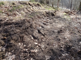 2014-03-20-pichelsberge-ampostfenn-053 2014-03-20-pichelsberge-ampostfenn-053