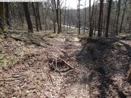 2014-03-20-pichelsberge-ampostfenn-054 2014-03-20-pichelsberge-ampostfenn-054