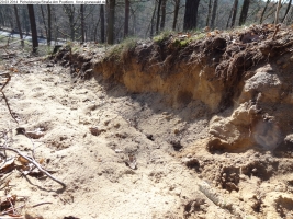 2014-03-20-pichelsberge-ampostfenn-055 2014-03-20-pichelsberge-ampostfenn-055