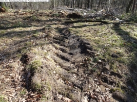 2014-03-20-pichelsberge-ampostfenn-057 2014-03-20-pichelsberge-ampostfenn-057