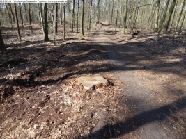 2014-03-20-pichelsberge-ampostfenn-062 2014-03-20-pichelsberge-ampostfenn-062