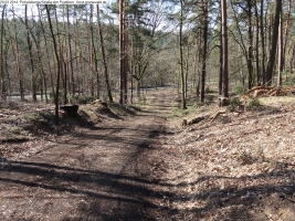 2014-03-20-pichelsberge-ampostfenn-063 2014-03-20-pichelsberge-ampostfenn-063