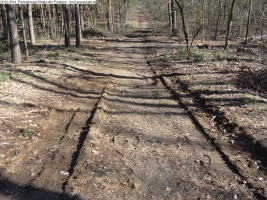 2014-03-20-pichelsberge-ampostfenn-065 2014-03-20-pichelsberge-ampostfenn-065