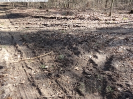 2014-03-20-pichelsberge-ampostfenn-066 2014-03-20-pichelsberge-ampostfenn-066