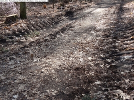 2014-03-20-pichelsberge-ampostfenn-067 2014-03-20-pichelsberge-ampostfenn-067