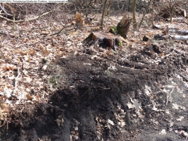 2014-03-20-pichelsberge-ampostfenn-068 2014-03-20-pichelsberge-ampostfenn-068