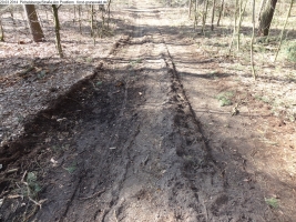 2014-03-20-pichelsberge-ampostfenn-070 2014-03-20-pichelsberge-ampostfenn-070