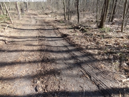 2014-03-20-pichelsberge-ampostfenn-074 2014-03-20-pichelsberge-ampostfenn-074