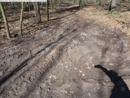 2014-03-20-pichelsberge-ampostfenn-075