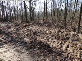 2014-03-20-pichelsberge-ampostfenn-076