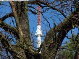 2014-03-20-pichelsberge-ampostfenn-081 2014-03-20-pichelsberge-ampostfenn-081