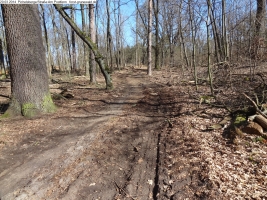 2014-03-20-pichelsberge-ampostfenn-083 2014-03-20-pichelsberge-ampostfenn-083