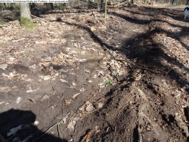 2014-03-20-pichelsberge-ampostfenn-084 2014-03-20-pichelsberge-ampostfenn-084