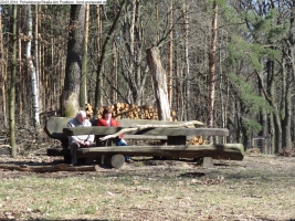 2014-03-20-pichelsberge-ampostfenn-086