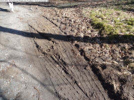 2014-03-20-pichelsberge-ampostfenn-088 2014-03-20-pichelsberge-ampostfenn-088