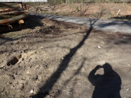 2014-03-20-pichelsberge-ampostfenn-089 2014-03-20-pichelsberge-ampostfenn-089