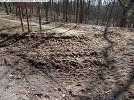 2014-03-20-pichelsberge-ampostfenn-115 2014-03-20-pichelsberge-ampostfenn-115