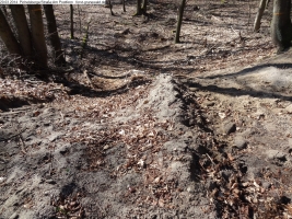 2014-03-20-pichelsberge-ampostfenn-116 2014-03-20-pichelsberge-ampostfenn-116