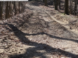 2014-03-20-pichelsberge-ampostfenn-117 2014-03-20-pichelsberge-ampostfenn-117