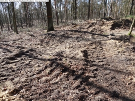 2014-03-20-pichelsberge-ampostfenn-118 2014-03-20-pichelsberge-ampostfenn-118